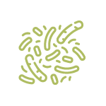 Probiomax Video Bacterias Roemmers Laboratorio